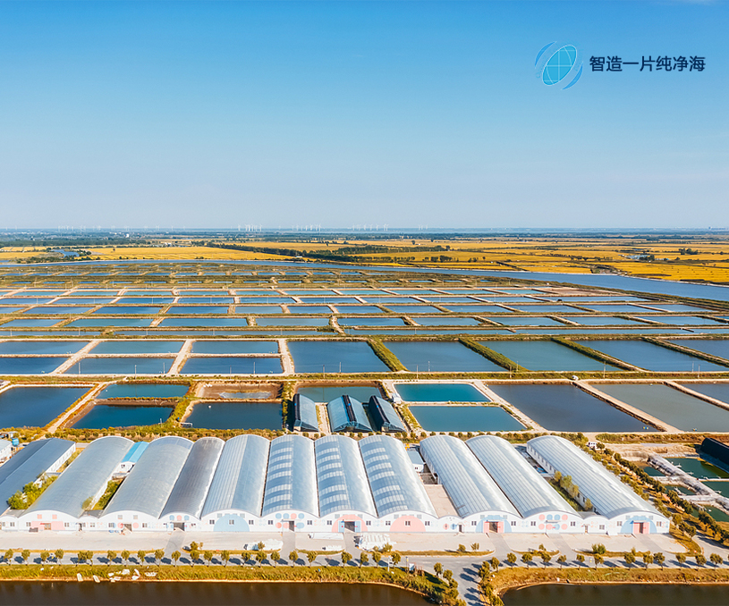 廣東橫琴粵澳深度合作區兆海智慧云科技有限公司集約養殖品牌網站制作建設案例